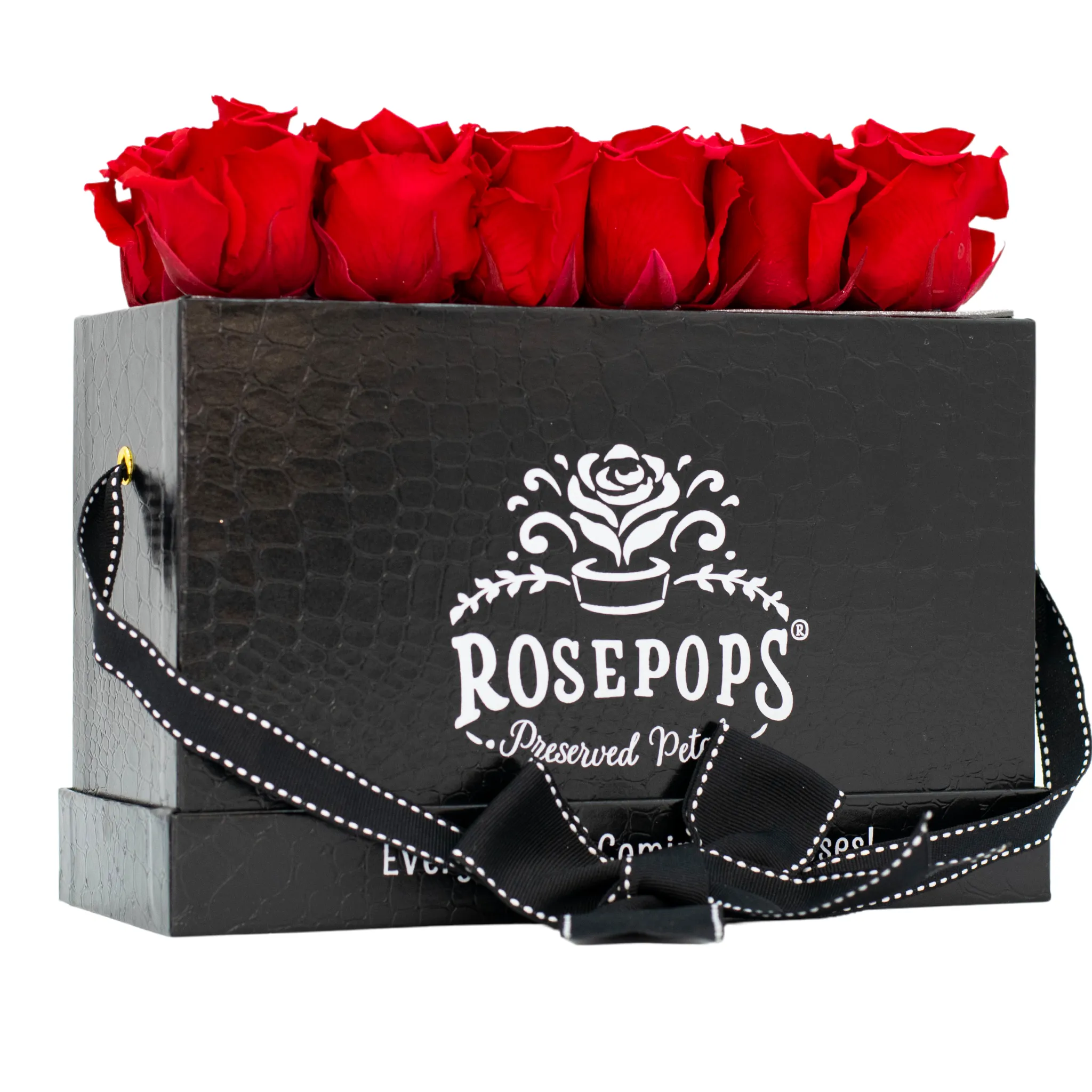 Black Monogrammed Keeper by the Dozen - Cherry Crush Roses