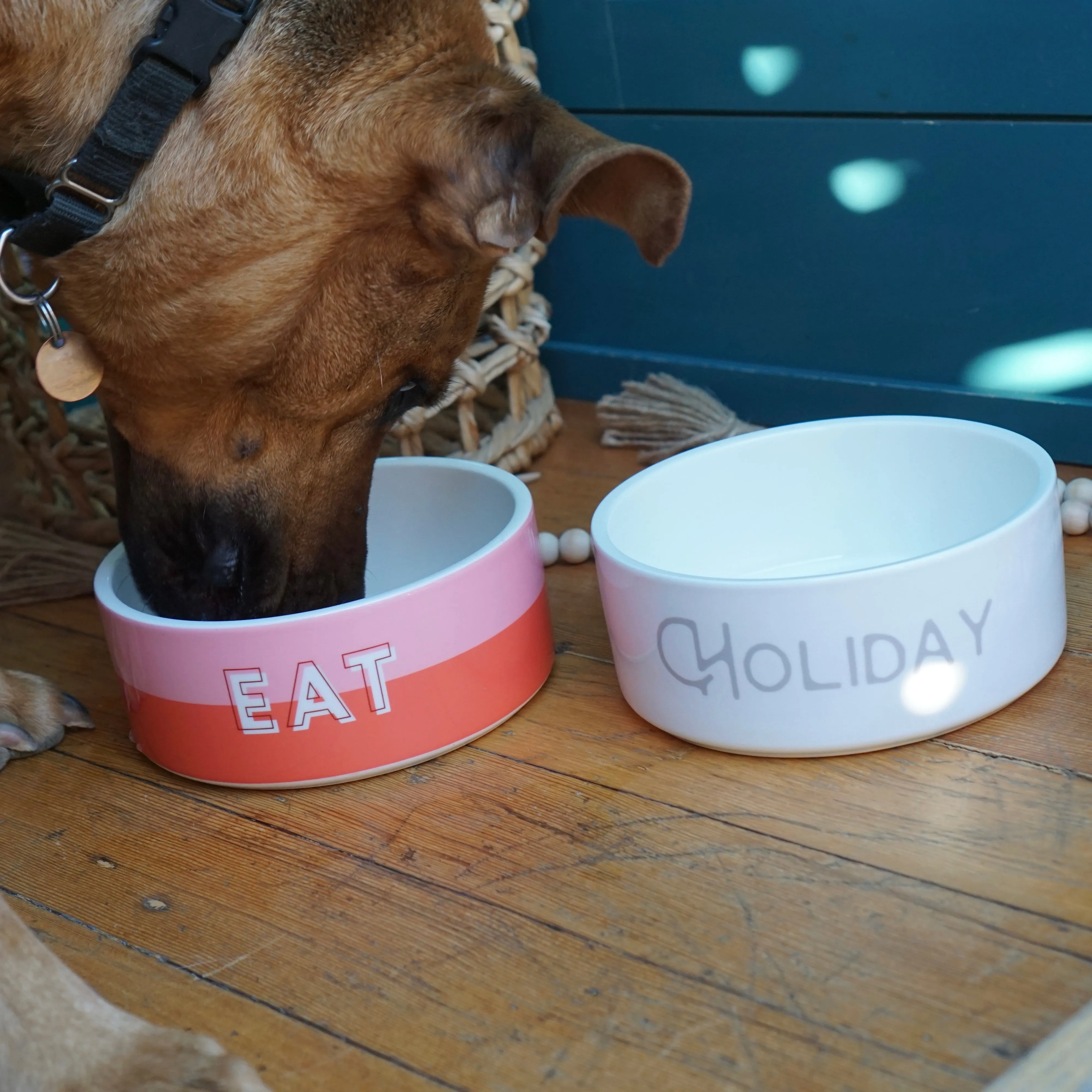 Custom Solid Color Dog Bowl