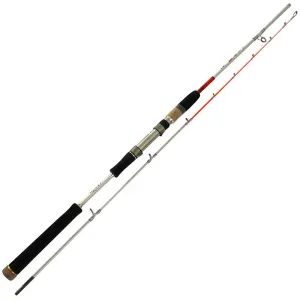 Designed by EVD Fisher（Japan) Lure 10-40LB graphite construction Rod Fishing Tackle Special Offer With bonus!!! (video of the Fishing rod is available in description)